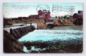 View of Mills and Dam Neligh Nebraska NE 1908 Leaver's Pharmacy DB Postcard P12