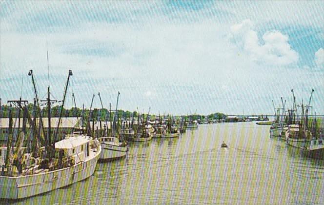 SouthCarolina Charleston Shrimp Fleet Mt Pleasant Docks