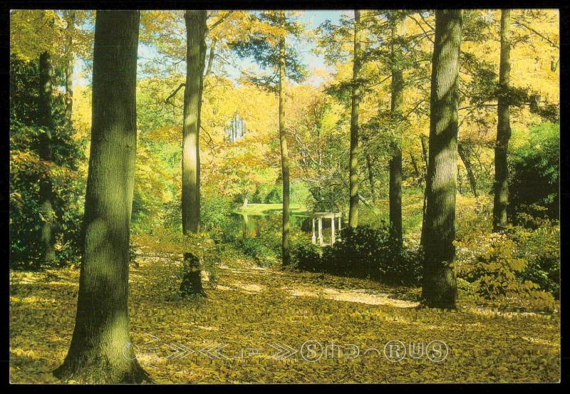 Autumn foliage in Peirce's Woods