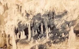 Real Photo Postcard Petrified Forest in the Oregon Caves~130603