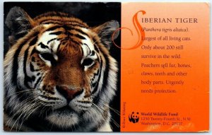 Postcard - Siberian Tiger, World Wildlife Fund - Washington, D. C.