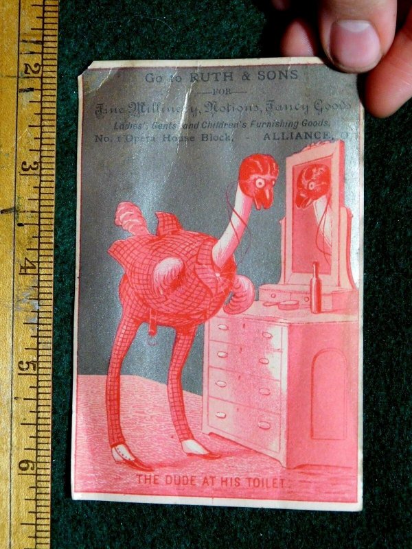 Ruth & Sons, Anthropomorphic Ostrich, Bird, Alliance, Ohio Victorian Card F34