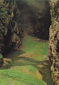 Czech Republic Punkva Cave Bottom of the Macocha chasm Postcard