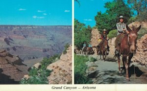 USA Grand Canyon Arizona Chrome Postcard 07.63