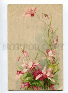256917 C. KLEIN Cyclamen VIOLET Flower Vintage RUSSIA postcard