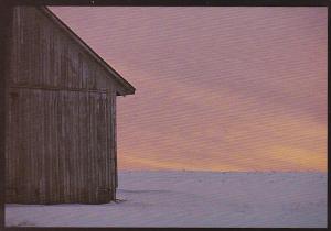 Old Barn Amish Seasons The Textures Of Winter