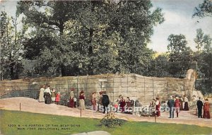 Bear Dens, New York Zoological Park - New York City Postcards Postcard