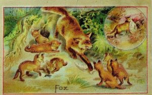 1870's-80's Lion Coffee Picture Card Fox Den Fox With Kits/Pups Adorable! P86