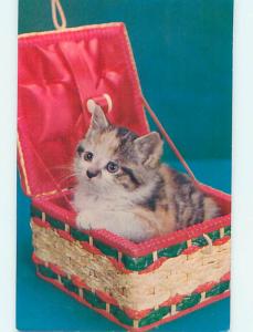 Unused 1950's CUTE KITTEN CAT IN A LINED BASKET n0332