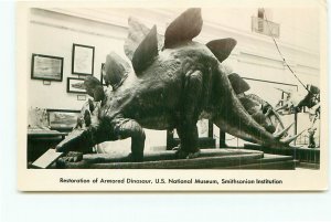 Restoration Armored Dinosaur Stegosaurus US Nat Museum Smithsonian