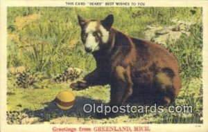 Greetings Greemland, Michigan USA Bear Postcard