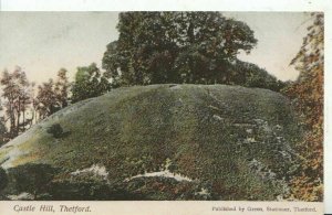 Norfolk Postcard - Castle Hill - Thetford - Ref 11743A