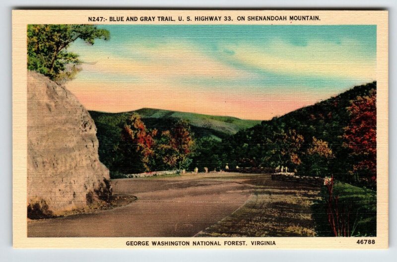 US Highway 33 Trail Forest Shenandoah Mountain Virginia Postcard Linen Unused VA