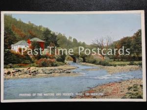 c1956 - Meeting of the Waters and Moore's Tree, Co Wicklow