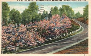 Vintage Postcard 1948 National Highway Between Hagerstown & Cumberland Maryland