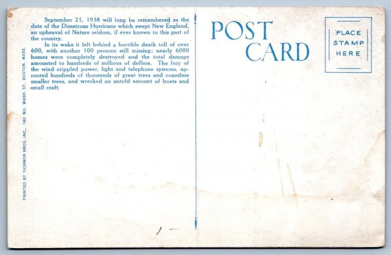 1930-40's GREAT NEW ENGLAND HURRICANE of 1938 CHESTNUT HILL MA TREES POSTCARD