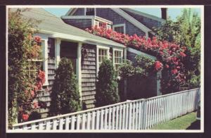 Rose Covered Cottage Nantucket MA Postcard 3820