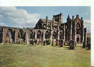 Scotland Postcard - Melrose Abbey - Roxburghshire - Ref TZ8206