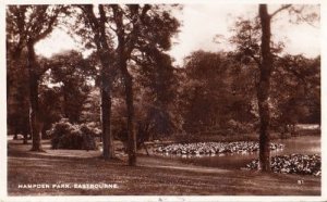 Eastbourne Sussex Stunning Hampden Park Real Photo Vintage Postcard