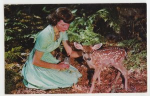 P2816, 1959 postcard greeting from rangeley lakes maine a young woman & fawn