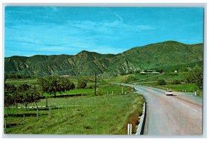 Bryant Street Beyond The Oak Glen Turnoff Yucaipa California CA Vintage Postcard