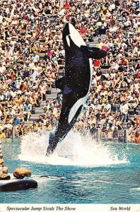 California - Sea World