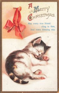 Ellen Clapsaddle A Merry Christmas Sleeping Kitten Postcard