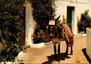 Spain Costa Del Sol Mijas Burro Taxi Taxi Donkey