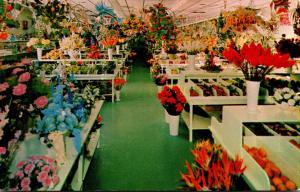 Florida Venice Eiss' Flowers and Foliage Store 1968