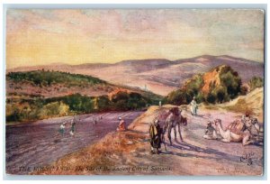c1910 Holy Land Site of Ancient City of Samaria Oilette Tuck Art Postcard