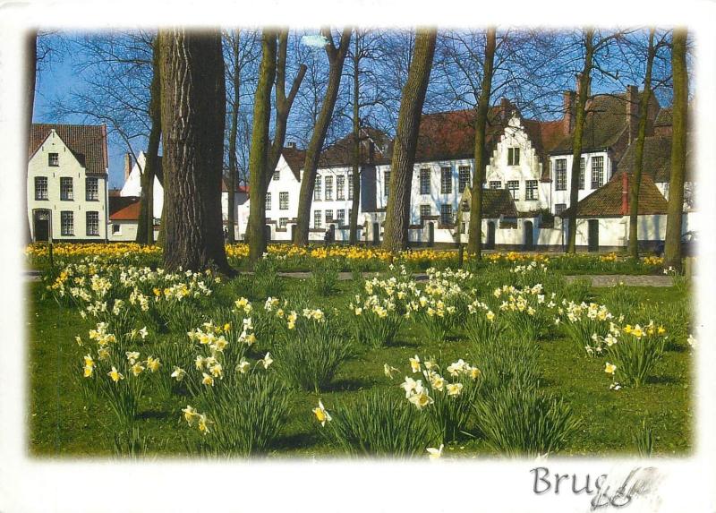 Belgium Brugge butterfly stamp