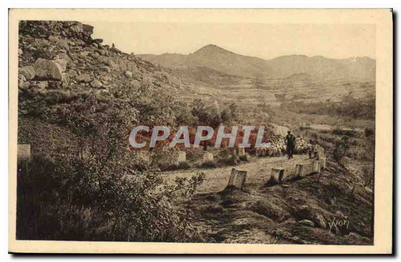 Old Postcard S Baux R Saint Remy Road