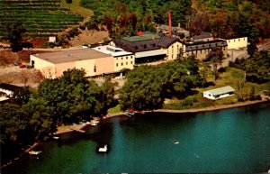 New York Hammondsport Gold Seal Vineyards On The Shore Of Keuka Lake