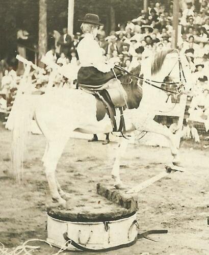 Nashua IOWA RPPC 1912 TRAINED HORSE ACT Big 4 Fair BALANCING nr Charles City  