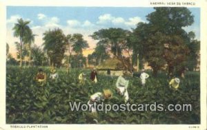 Vega de Tabaco, Tobacco Plantation Habana Republic of Cuba Unused 