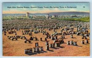 BIG SPRING, TEXAS Cotton Bales after GINNING SEASON Howard County 1940s Postcard