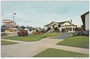 Exterior View, Flowers in Courtyard, Peacock Auto Court, Vancouver, British C...