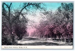 Minot North Dakota ND Postcard North Park Avenue Trees Scene 1910 Country Road
