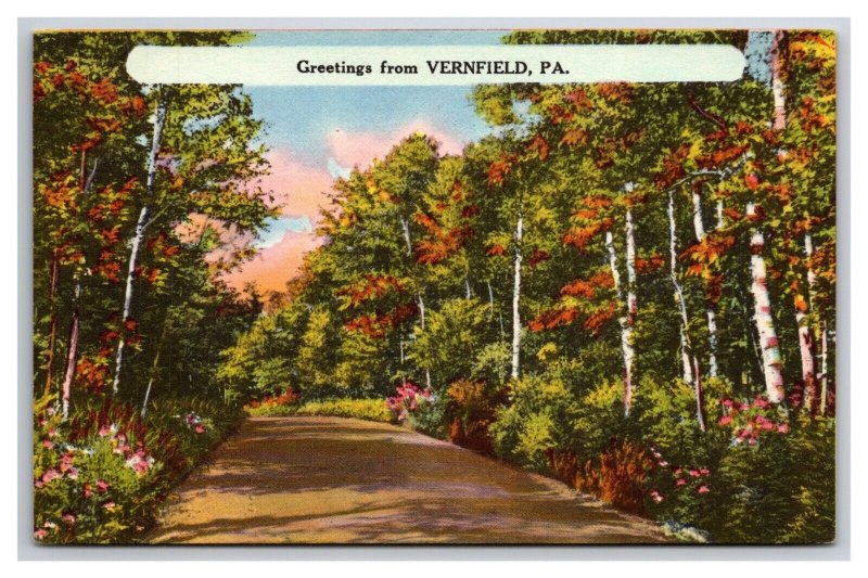 Generic Scenic Greetings Vernfield PA Dealer Sample UNP LInen Postcard M20