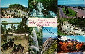 Greetings from Great Smokey Mountains National Park Postcard PC236