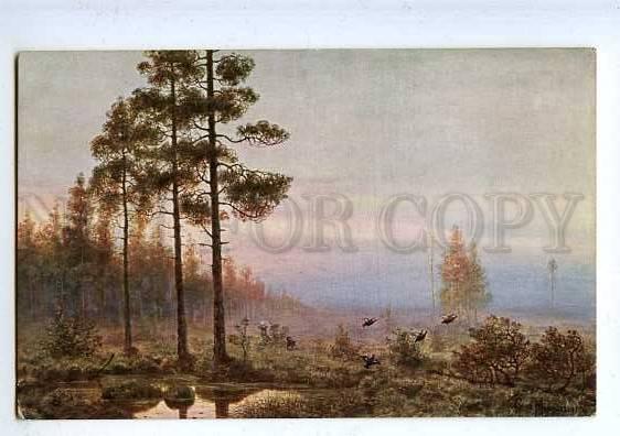 183708 RUSSIA MURAVIEV grouse hunt capercaillie blackcock Old