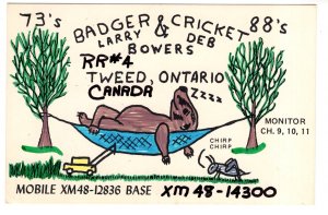 Dadger & Cricket, Tweed, Ontario, QSL Postcard,