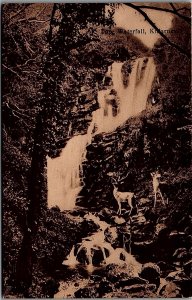 c1910 KILLARNEY IRELAND TORC WATERFALL HUGE BUCK ANTHONY LITHO POSTCARD 34-268