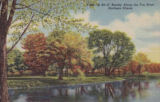 A Bit O Beauty Along The Fox River Northern Illinois Illinois 1959