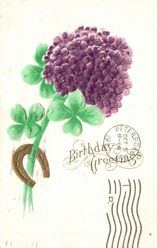 Vintage Postcard 1911 Birthday Greetings Purple Hydrangeas Green Leaves Glitter