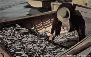 Unloading Smelt Columbia River, Oregon OR