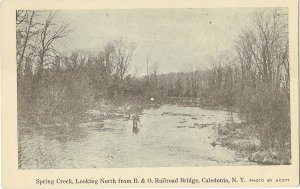 Spring Creek Looking North from B & O Railroad Bridge Caledonia New York