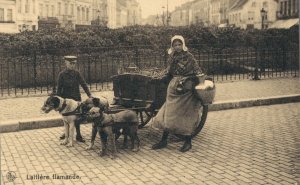 Belgium - Laitière flamande Dog cart 03.47