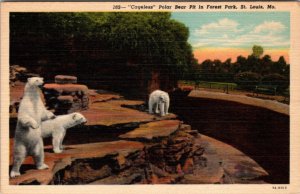 Postcard Cageless Polar Bear St Louis Mo Linen K6
