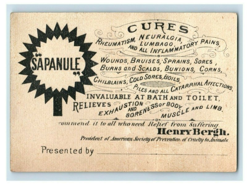1880s Sapanule Quack Medicine Henry Bergh President ASPCA P224